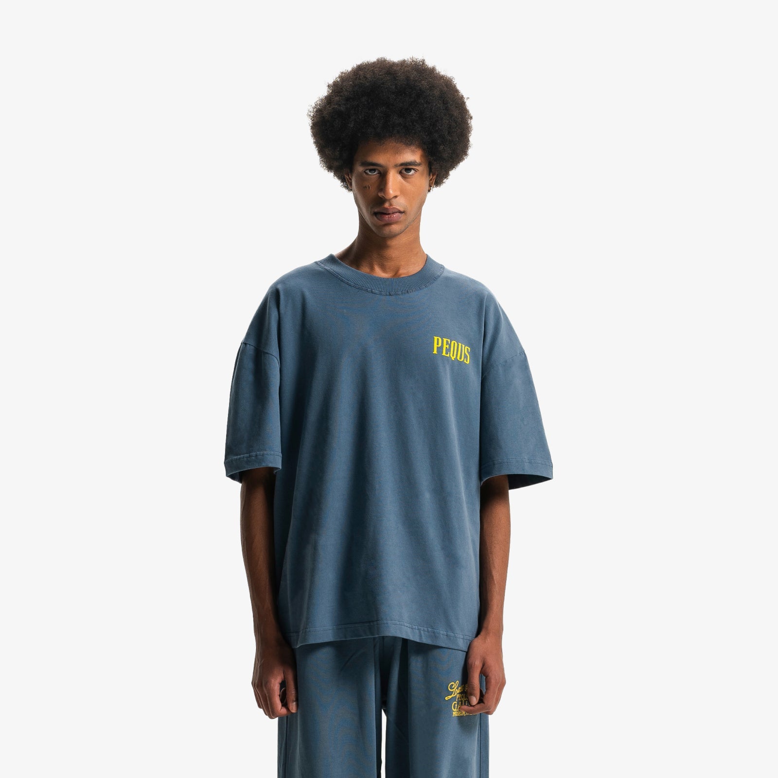 PEQUS Art Gallery T-Shirt