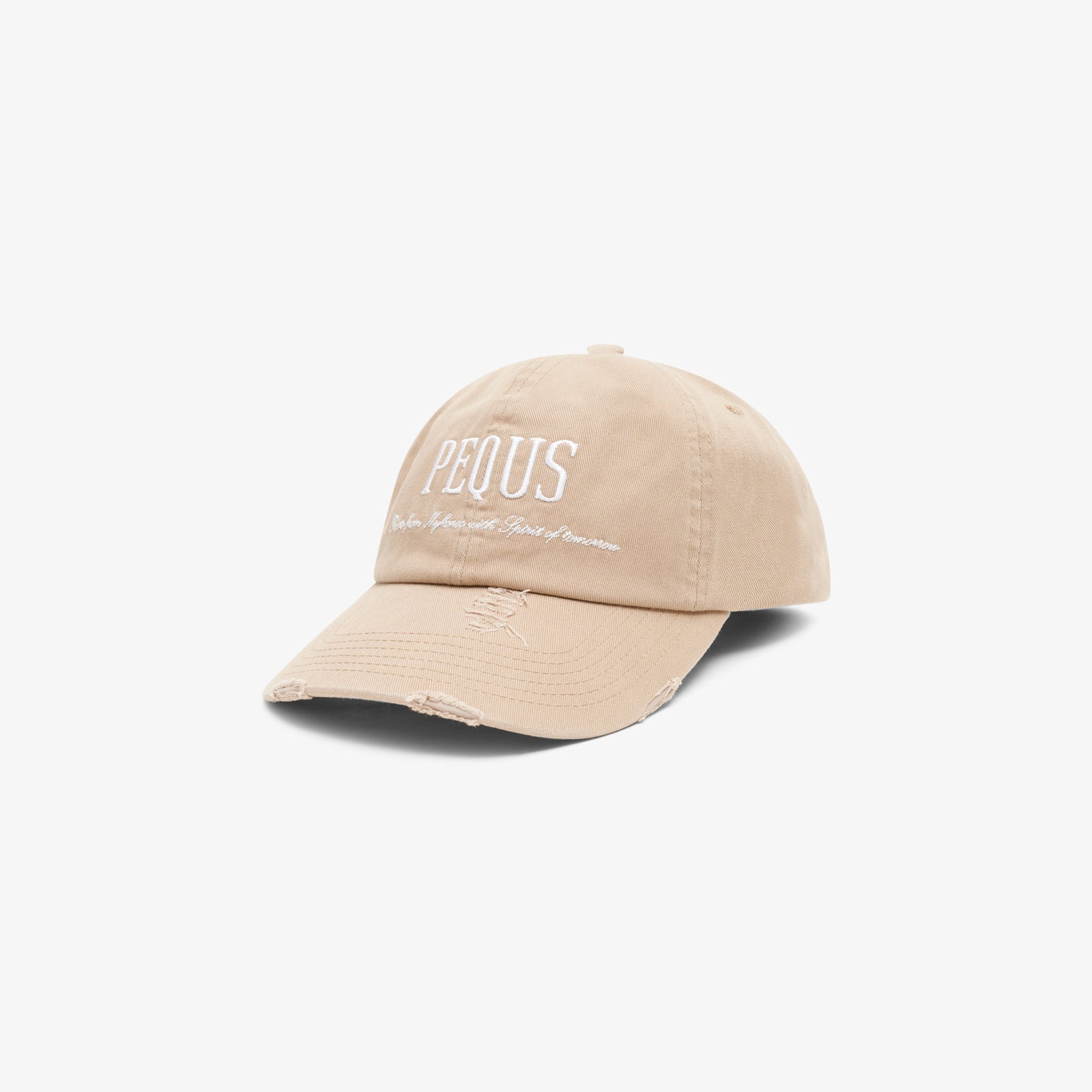 Destroyed Logo Baseball Cap