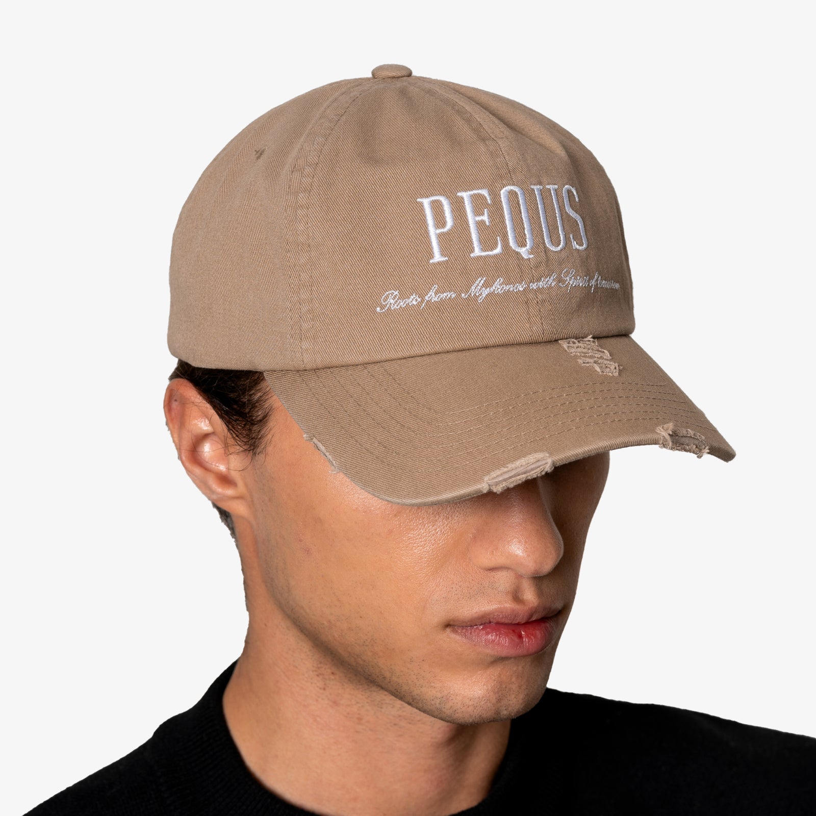 Destroyed Logo Baseball Cap