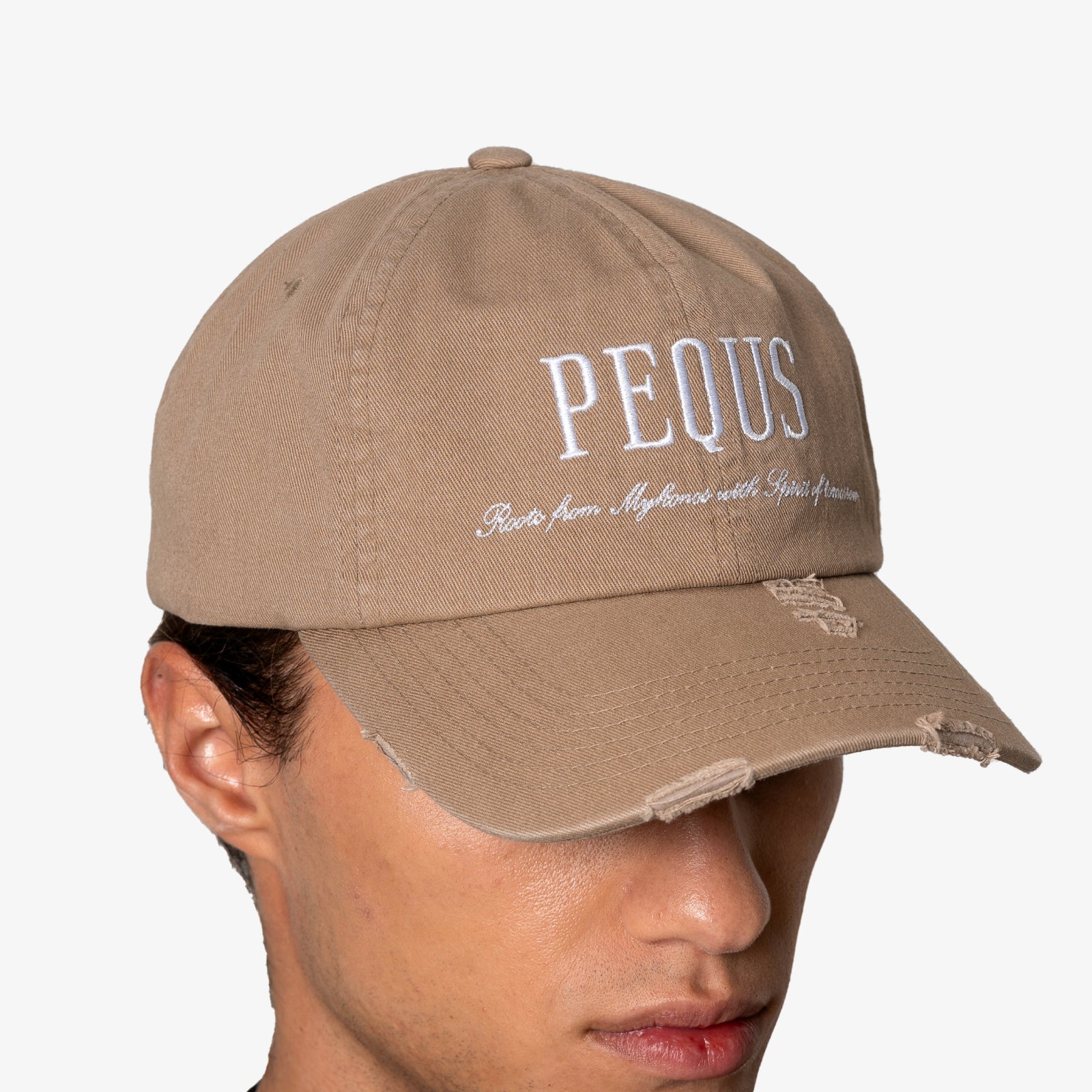 Destroyed Logo Baseball Cap