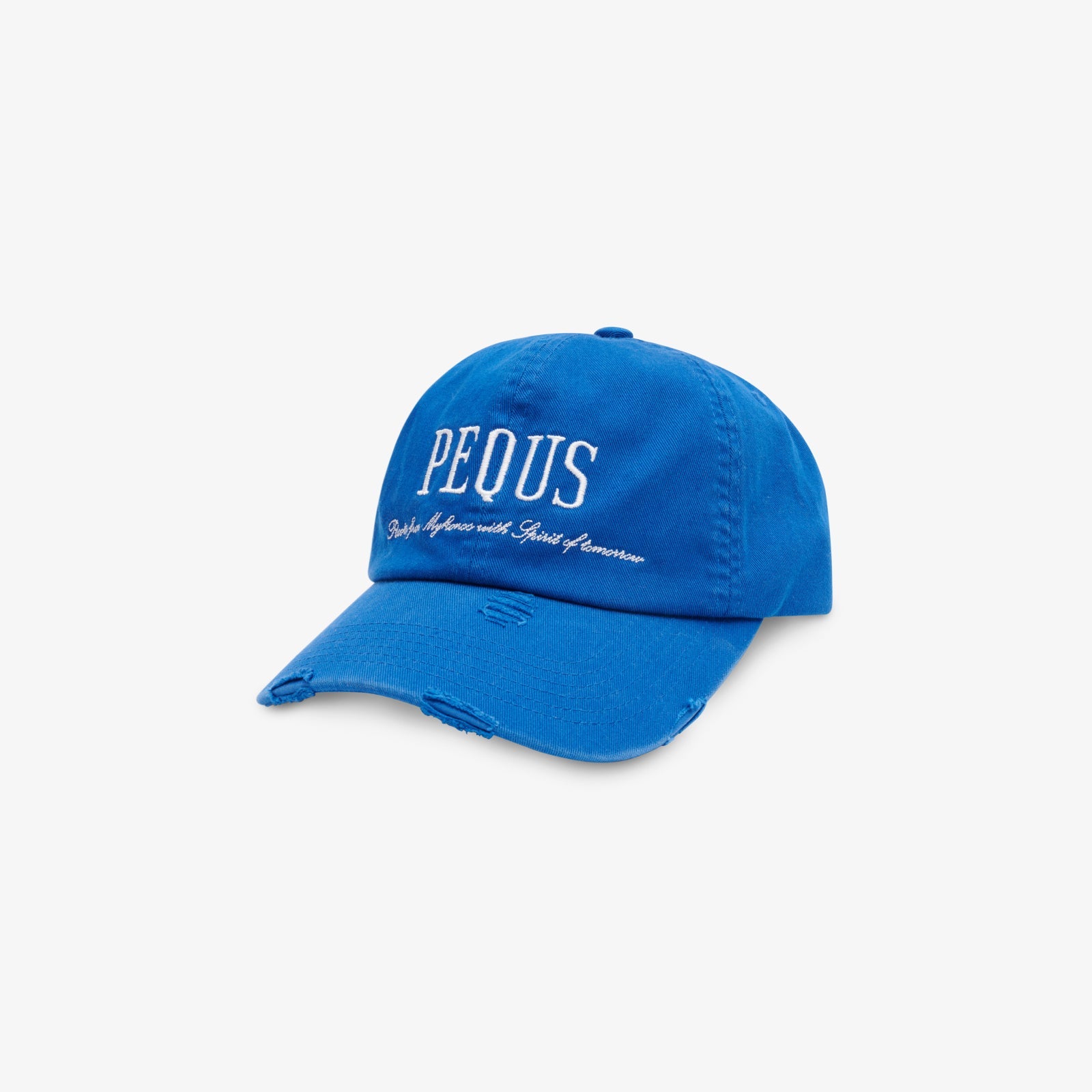 Destroyed Logo Baseball Cap